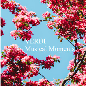Verdi - Musical Moments album