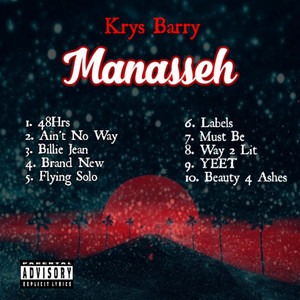 Flying Solo by Krys Barry