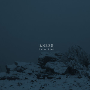 Amber by Peter Ries