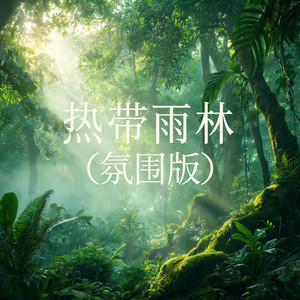 热带雨林（氛围版） by 大头针