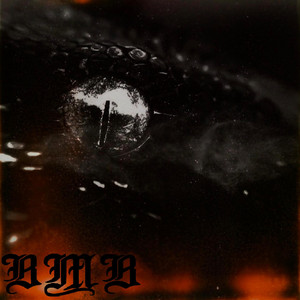 Hates Creation by By My Blood, Fire In The Blood
