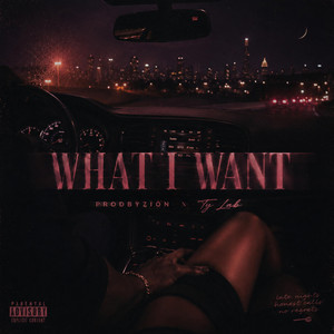 WHAT I WANT by prodbyzion, Ty Lab