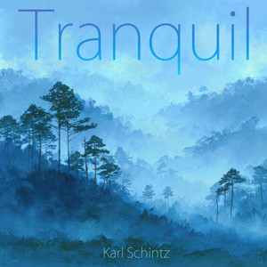 Tranquil by Karl Schintz