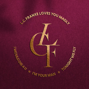 I'm Your Man by L.C. Franke