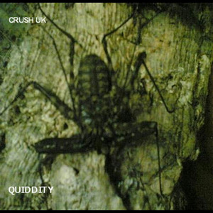 Quiddity cover