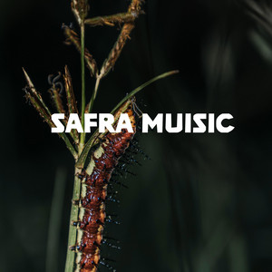 time plus by Safra Music