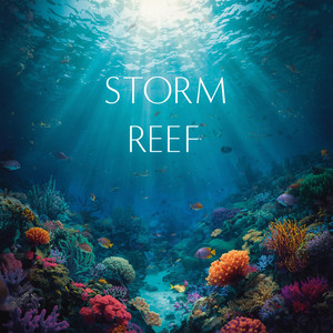 Storm Reef by Enid Edmund