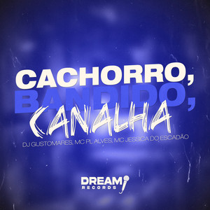 Cachorro, Bandido, Canalha