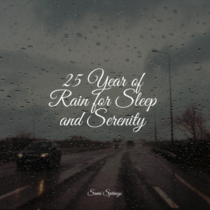 25 Year of Rain for Sleep and Serenity album