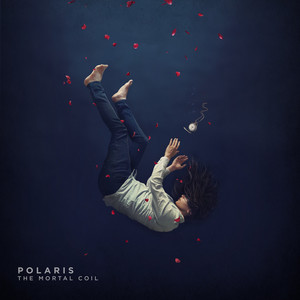 Sonder by Polaris
