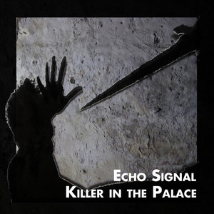 Echo Signal