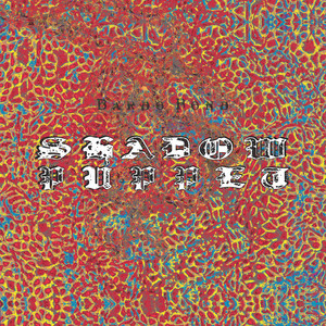 Portada de Shadow Puppet