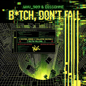 Bitch, Don't Fall cover art