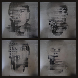 Downsample by None Mothers