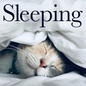 Dolly, Op. 56: 1. Berceuse - Boston Symphony Orchestra & Seiji Ozawa