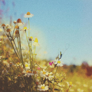 I Had a Memory So Painful It Made Me Cry by Kayou.