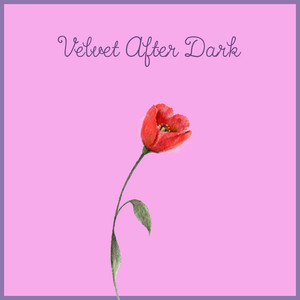 Velvet After Dark by Naomi Eno