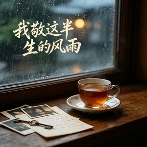 我敬这半生的风雨 by 卢润泽