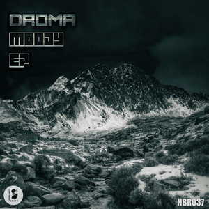 Reality Check by Droma
