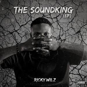 Aura by Ricky Wilz
