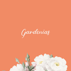 ¿Quién entiende a Juan? - Gardenias