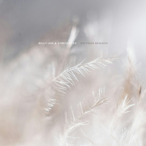 softness remains by Strengevev, Billy-Joe