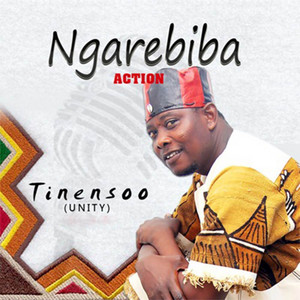 Ngarebiba Action - Tinensoo