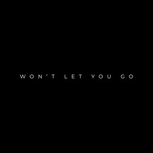Won't Let You Go by Aviv