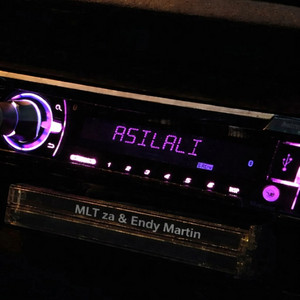 Asilali by MLT zA, Endy Martin