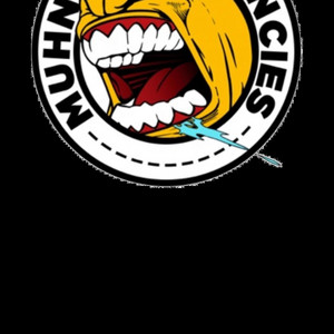 Rich Love - Bippleyipsnip Actupuhluhgoot Remixaltenz