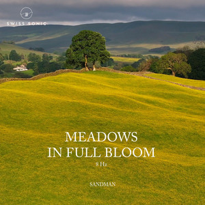 Meadows In Full Bloom by Sandman