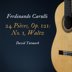 Carulli: Music for Guitar and Fortepiano - Album by Ferdinando