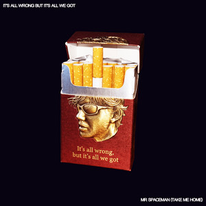 It's All Wrong but It's All We Got by L.L. Luna