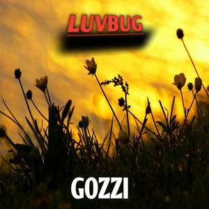 Luvbug by Gozzi