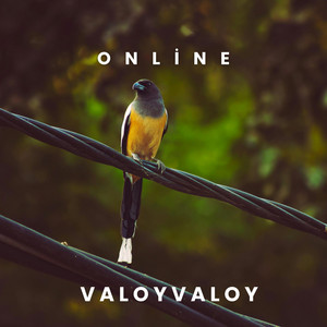 Online by Valoyvaloy