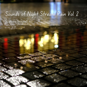 Nature Sound: Sounds of Night Stream Rain Vol. 2 album