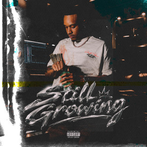 Second by Youngest Don