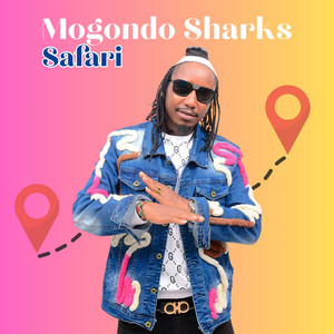 Mogondo Sharks - Kokemeton