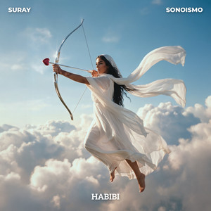Habibi by Suray, Sonoismo