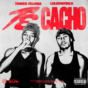 Tower Felonia - TE CACHO (feat. LuloWorld)