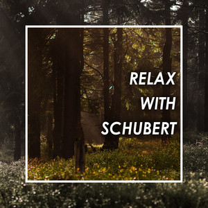 Relax with Schubert album