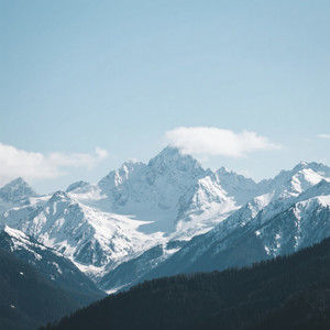 Petaxlag - gacor ketua