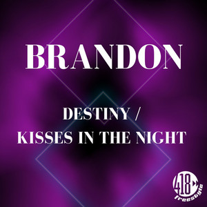 Destiny - Radio Edit by Brandon