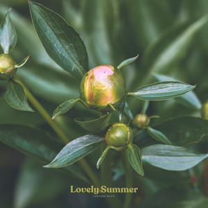 Lovely Summer by Lowtone Music