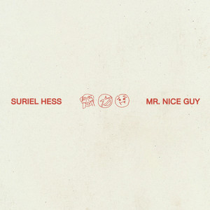 Mr. Nice Guy by Suriel Hess