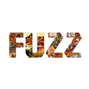 Fuzz cover