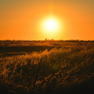 Leonardo Travensoli - Sunset