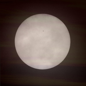The sun