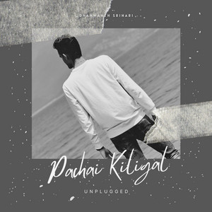 Dhanwanth Srihari - Pachai Kiligal (Unplugged)