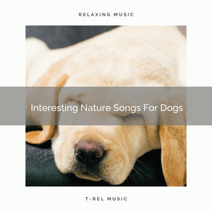 Interesting Nature Songs For Dogs album
